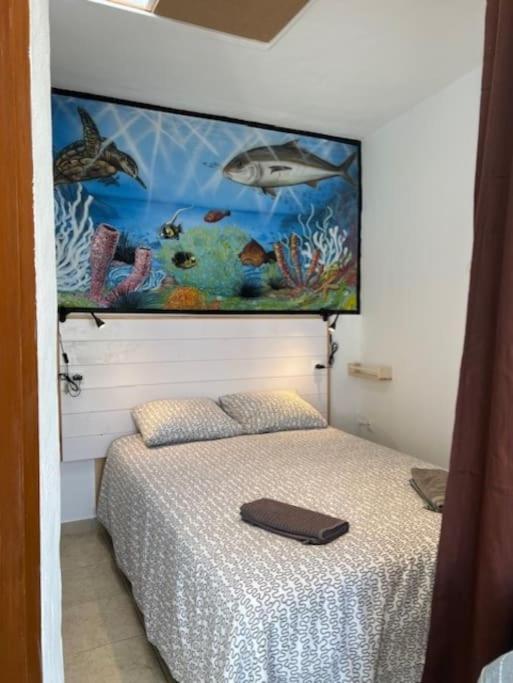 Acogedor Apartamento En 파마라 외부 사진